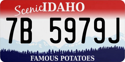 ID license plate 7B5979J