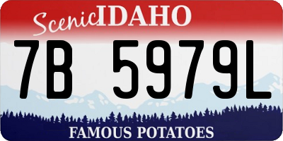 ID license plate 7B5979L
