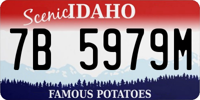 ID license plate 7B5979M