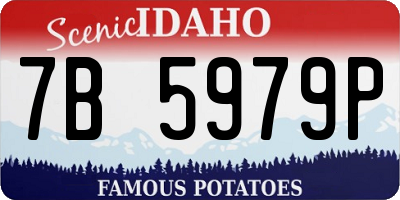 ID license plate 7B5979P
