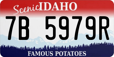 ID license plate 7B5979R