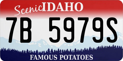 ID license plate 7B5979S