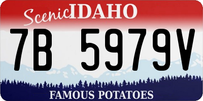 ID license plate 7B5979V
