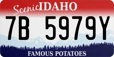 ID license plate 7B5979Y