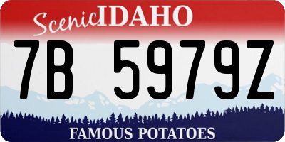 ID license plate 7B5979Z