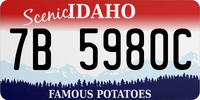 ID license plate 7B5980C