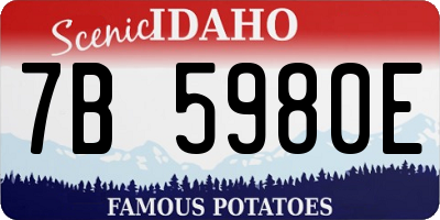 ID license plate 7B5980E