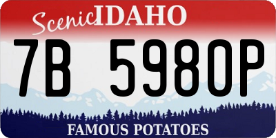 ID license plate 7B5980P
