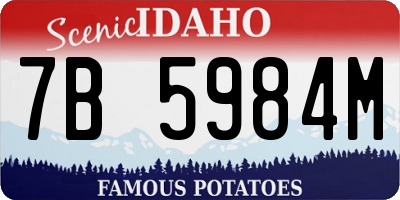 ID license plate 7B5984M