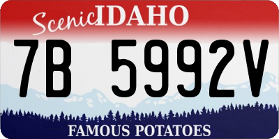 ID license plate 7B5992V