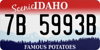 ID license plate 7B5993B