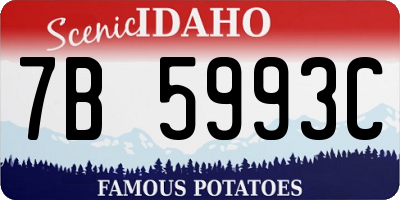 ID license plate 7B5993C