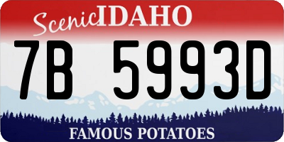 ID license plate 7B5993D