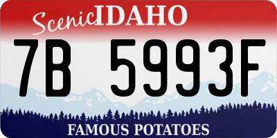 ID license plate 7B5993F
