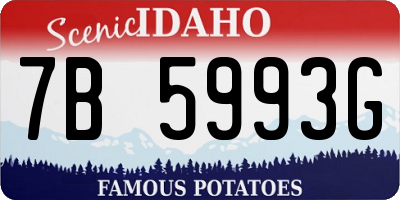 ID license plate 7B5993G