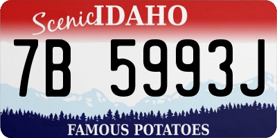 ID license plate 7B5993J