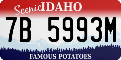 ID license plate 7B5993M