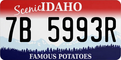 ID license plate 7B5993R