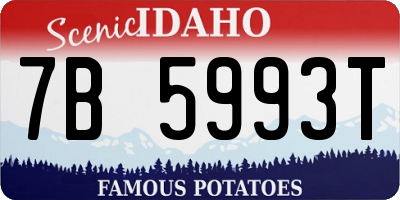 ID license plate 7B5993T