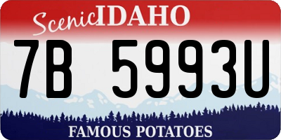 ID license plate 7B5993U