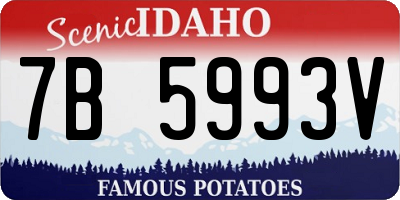 ID license plate 7B5993V