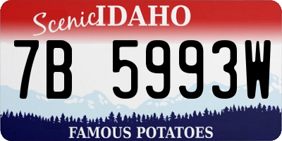 ID license plate 7B5993W