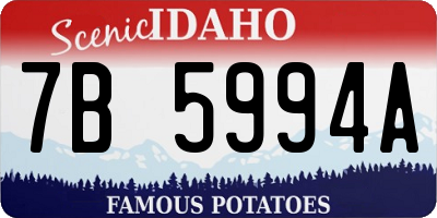 ID license plate 7B5994A