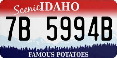ID license plate 7B5994B