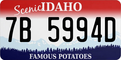 ID license plate 7B5994D