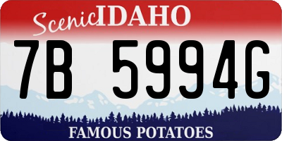 ID license plate 7B5994G
