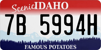 ID license plate 7B5994H