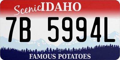 ID license plate 7B5994L