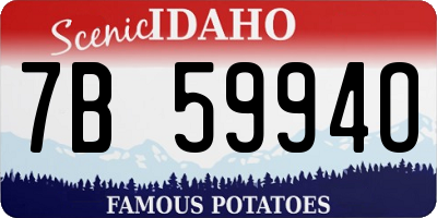 ID license plate 7B5994O