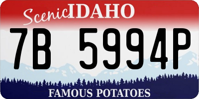 ID license plate 7B5994P