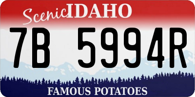 ID license plate 7B5994R