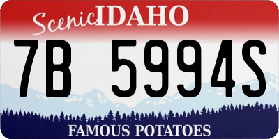 ID license plate 7B5994S