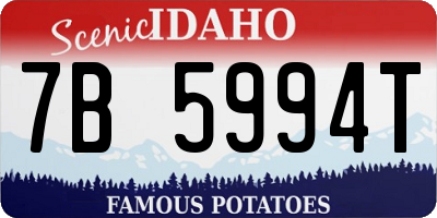 ID license plate 7B5994T