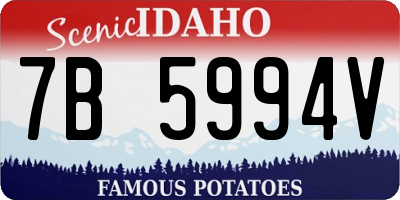 ID license plate 7B5994V