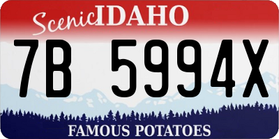 ID license plate 7B5994X