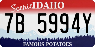 ID license plate 7B5994Y