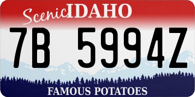 ID license plate 7B5994Z