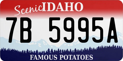 ID license plate 7B5995A