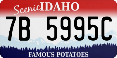 ID license plate 7B5995C