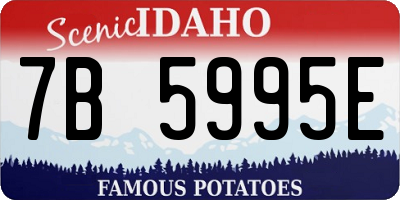 ID license plate 7B5995E