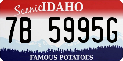 ID license plate 7B5995G