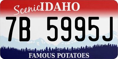 ID license plate 7B5995J