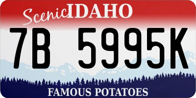 ID license plate 7B5995K