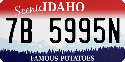 ID license plate 7B5995N