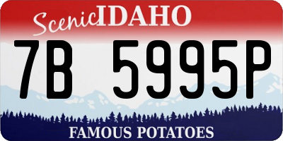 ID license plate 7B5995P