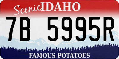 ID license plate 7B5995R